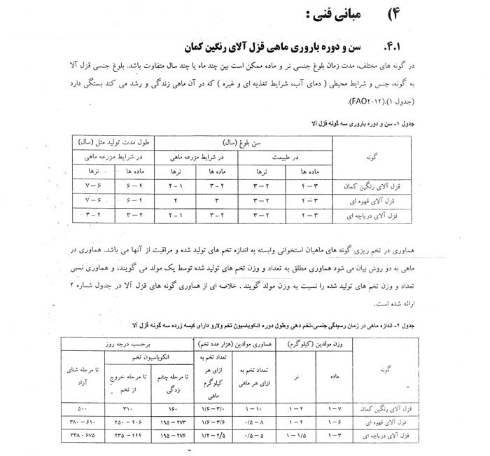 صدور مجوز تکثیر ماهی قزل الا